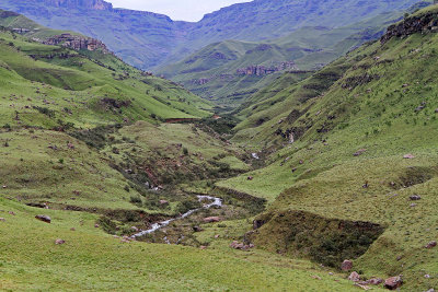 1276 Two weeks in South Africa - IMG_3681 DxO Pbase.jpg