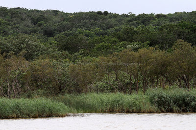 1663 Two weeks in South Africa - IMG_3948 DxO Pbase.jpg