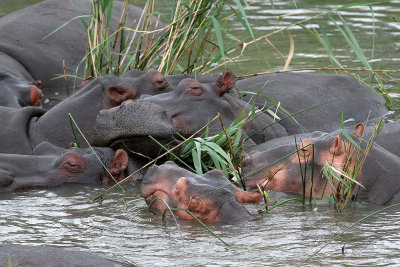 1792 Two weeks in South Africa - IMG_4078 DxO Pbase.jpg