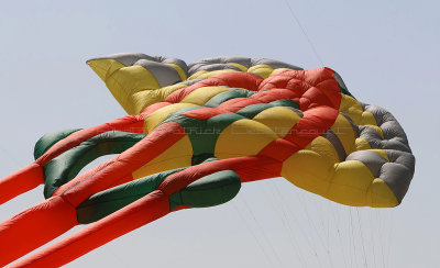 19 Festival international de cerfs volants de Berck sur Mer - MK3_3823_DxO Pbase.jpg