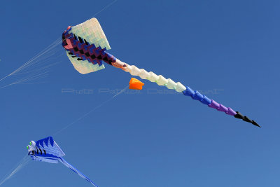 2 Festival international de cerfs volants de Berck sur Mer - MK3_3803_DxO Pbase.jpg
