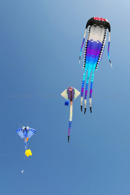 26 Festival international de cerfs volants de Berck sur Mer - MK3_3836_DxO Pbase.jpg