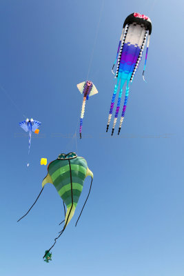 27 Festival international de cerfs volants de Berck sur Mer - MK3_3837_DxO Pbase.jpg