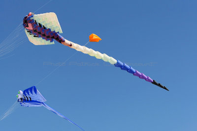 3 Festival international de cerfs volants de Berck sur Mer - MK3_3804_DxO Pbase.jpg