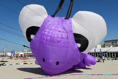 39 Festival international de cerfs volants de Berck sur Mer - MK3_3854_DxO Pbase.jpg