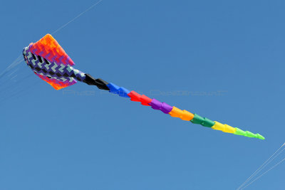 4 Festival international de cerfs volants de Berck sur Mer - MK3_3805_DxO Pbase.jpg