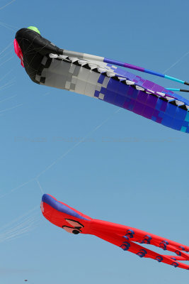5 Festival international de cerfs volants de Berck sur Mer - MK3_3806_DxO Pbase.jpg
