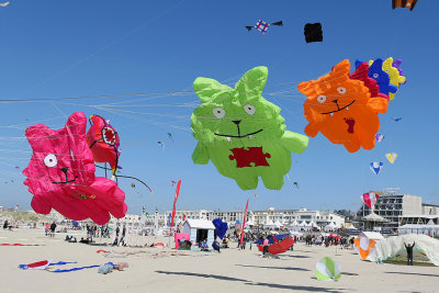 58 Festival international de cerfs volants de Berck sur Mer - MK3_3875_DxO Pbase.jpg