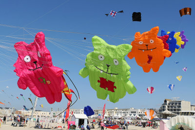 59 Festival international de cerfs volants de Berck sur Mer - MK3_3876_DxO Pbase.jpg