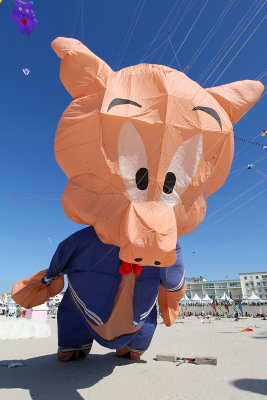 68 Festival international de cerfs volants de Berck sur Mer - MK3_3886_DxO Pbase.jpg