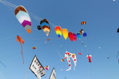 74 Festival international de cerfs volants de Berck sur Mer - MK3_3892_DxO Pbase.jpg