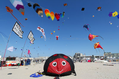 79 Festival international de cerfs volants de Berck sur Mer - MK3_3897_DxO Pbase.jpg