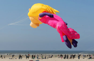 8 Festival international de cerfs volants de Berck sur Mer - MK3_3809_DxO Pbase.jpg