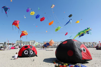 82 Festival international de cerfs volants de Berck sur Mer - MK3_3903_DxO Pbase.jpg