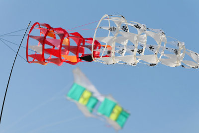 102 Festival international de cerfs volants de Berck sur Mer - MK3_3930_DxO Pbase.jpg
