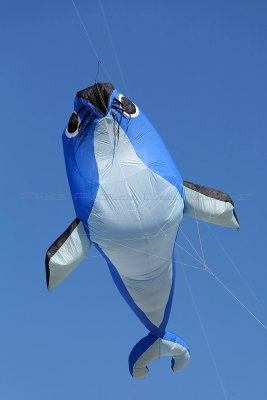 122 Festival international de cerfs volants de Berck sur Mer - MK3_3958_DxO Pbase.jpg