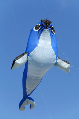 123 Festival international de cerfs volants de Berck sur Mer - MK3_3960_DxO Pbase.jpg