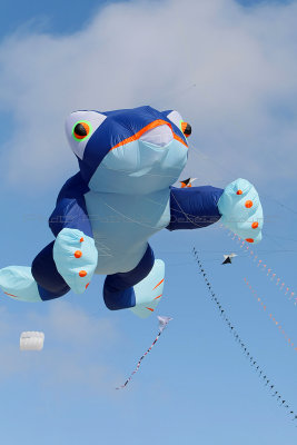 125 Festival international de cerfs volants de Berck sur Mer - MK3_3963_DxO Pbase.jpg