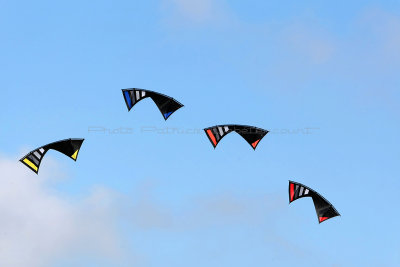 130 Festival international de cerfs volants de Berck sur Mer - MK3_3974_DxO Pbase.jpg