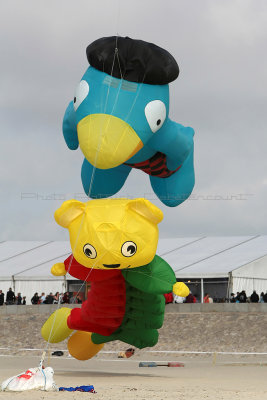 153 Festival international de cerfs volants de Berck sur Mer - MK3_4000_DxO Pbase.jpg