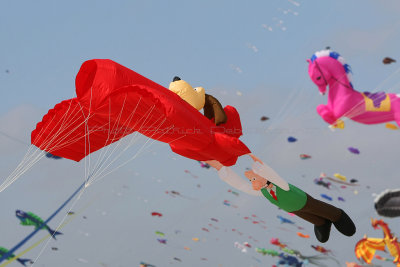 160 Festival international de cerfs volants de Berck sur Mer - MK3_4009_DxO Pbase.jpg