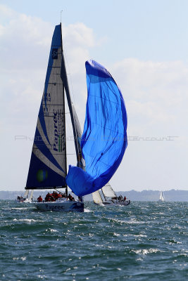 397 Spi Ouest France Intermarche 2014 - IMG_7033_DxO Pbase.jpg