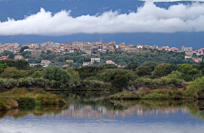 139 Une semaine en Corse du sud - A week in south Corsica -  IMG_8016_DxO Pbase.jpg