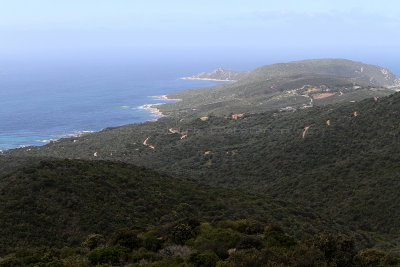 25 Une semaine en Corse du sud - A week in south Corsica -  IMG_7902_DxO Pbase.jpg