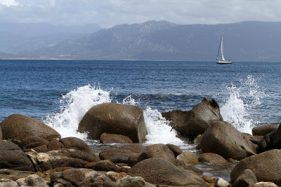 47 Une semaine en Corse du sud - A week in south Corsica -  IMG_7924_DxO Pbase.jpg