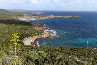 61 Une semaine en Corse du sud - A week in south Corsica -  IMG_7938_DxO Pbase.jpg