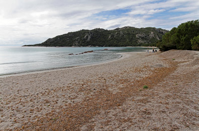 75 Une semaine en Corse du sud - A week in south Corsica -  IMG_7952_DxO Pbase.jpg