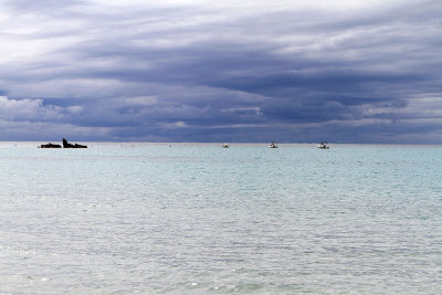 97 Une semaine en Corse du sud - A week in south Corsica -  IMG_7974_DxO Pbase.jpg