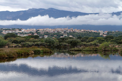 145 Une semaine en Corse du sud - A week in south Corsica -  IMG_8022_DxO Pbase.jpg