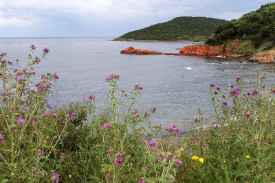 149 Une semaine en Corse du sud - A week in south Corsica -  IMG_8026_DxO Pbase.jpg