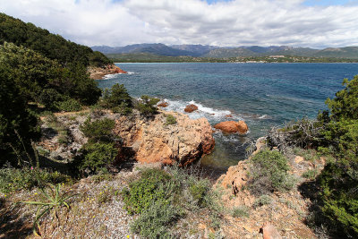 269 Une semaine en Corse du sud - A week in south Corsica -  IMG_8146_DxO Pbase.jpg