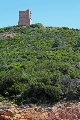 291 Une semaine en Corse du sud - A week in south Corsica -  IMG_8168_DxO Pbase.jpg