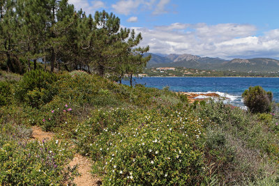 300 Une semaine en Corse du sud - A week in south Corsica -  IMG_8177_DxO Pbase.jpg