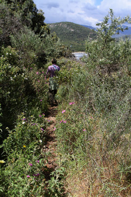302 Une semaine en Corse du sud - A week in south Corsica -  IMG_8179_DxO Pbase.jpg