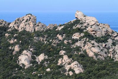 384 Une semaine en Corse du sud - A week in south Corsica -  IMG_8261_DxO Pbase.jpg
