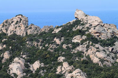 386 Une semaine en Corse du sud - A week in south Corsica -  IMG_8263_DxO Pbase.jpg