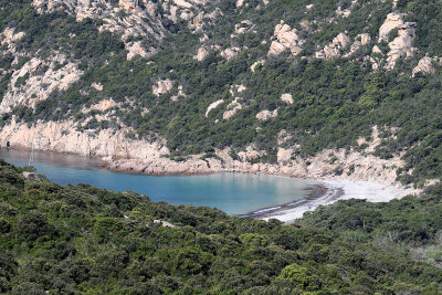 390 Une semaine en Corse du sud - A week in south Corsica -  IMG_8267_DxO Pbase.jpg