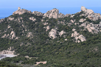 392 Une semaine en Corse du sud - A week in south Corsica -  IMG_8269_DxO Pbase.jpg