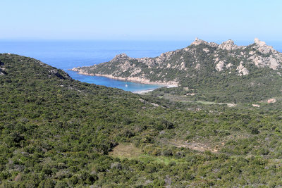 393 Une semaine en Corse du sud - A week in south Corsica -  IMG_8270_DxO Pbase.jpg