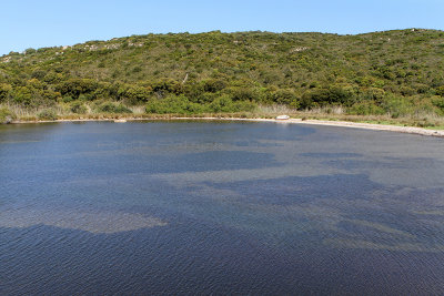 399 Une semaine en Corse du sud - A week in south Corsica -  IMG_8276_DxO Pbase.jpg