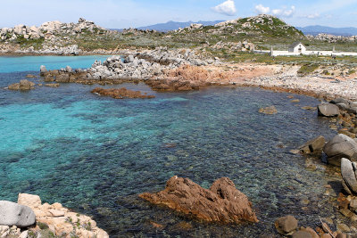 691 Une semaine en Corse du sud - A week in south Corsica -  IMG_8568_DxO Pbase.jpg