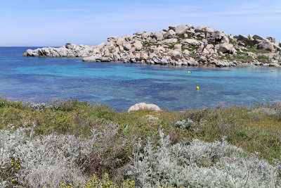 701 Une semaine en Corse du sud - A week in south Corsica -  IMG_8578_DxO Pbase.jpg