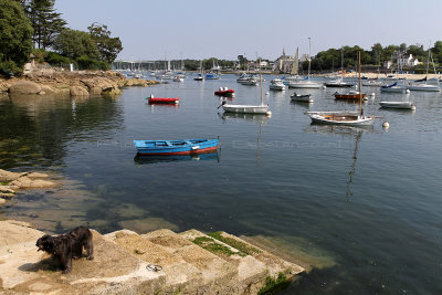 1 Fetes maritimes de Douarnenez 2014 - IMG_0663_DxO Pbase.jpg