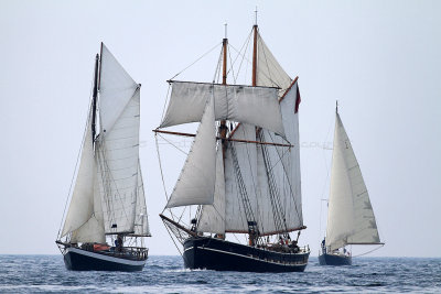 372 Fetes maritimes de Douarnenez 2014 - IMG_0988_DxO Pbase.jpg