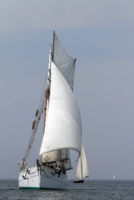 499 Fetes maritimes de Douarnenez 2014 - IMG_1083_DxO Pbase.jpg