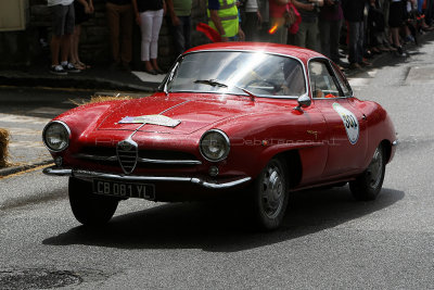 667 Remparts Historiques de Vannes 2014 - MK3_6753_DxO Pbase.jpg